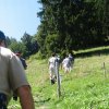 img_9786