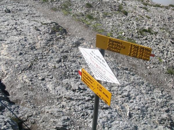img_0237