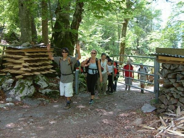 bild_080