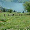 bild_091