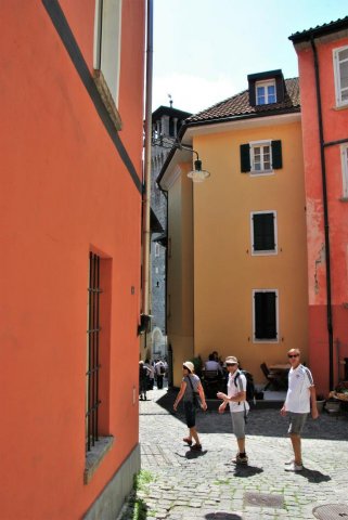 dsc_0100